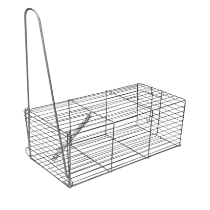 Jaula laucha rectangular | Trampa
